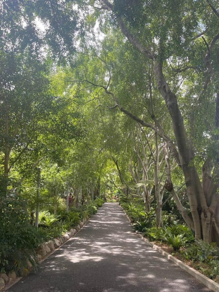 Inner Gem Next To St Andrews Hospital & Park Brisbane