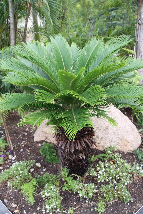 Paperbark Bed & Breakfast