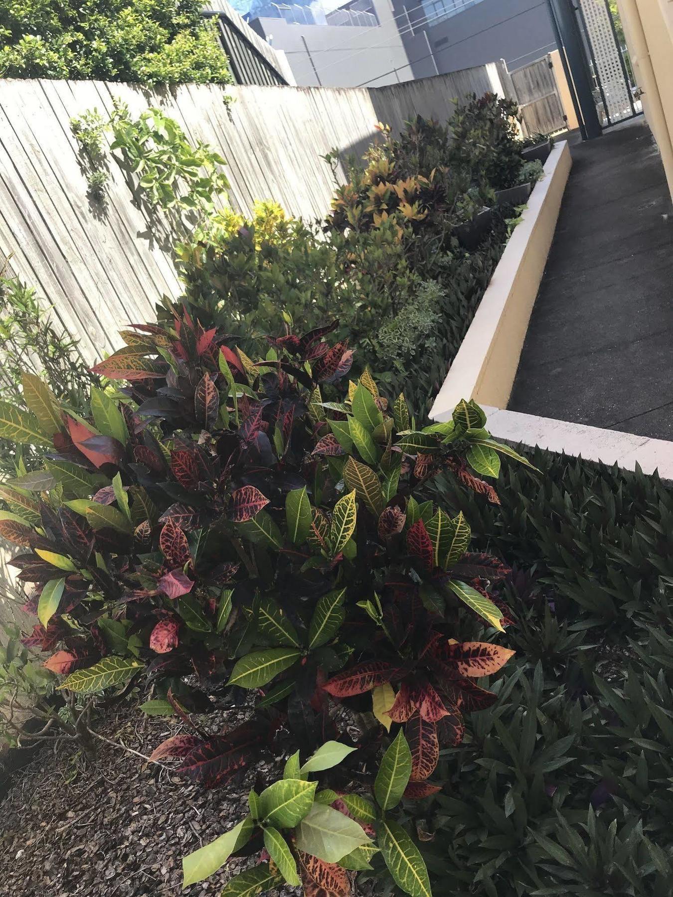 Toowong & Aparthotel Brisbane