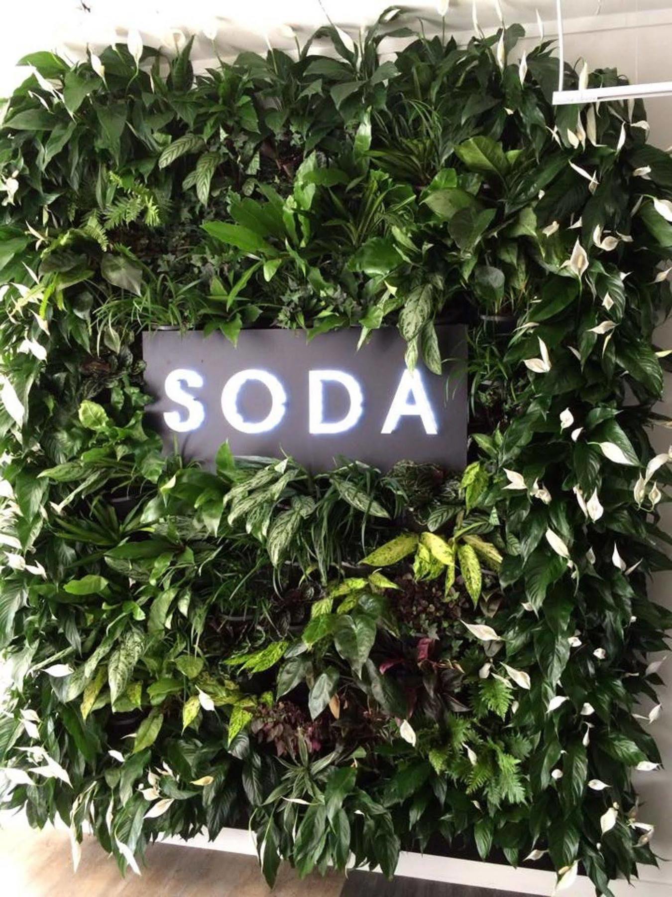 Soda Apartments By Cllix